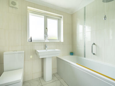 Picture 13